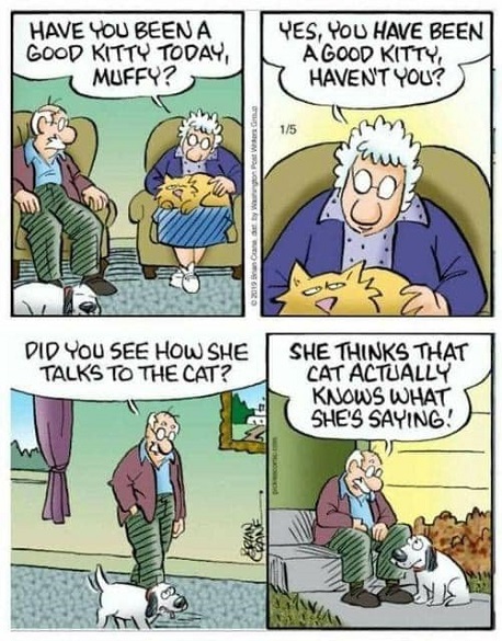 talk cat dog.jpg